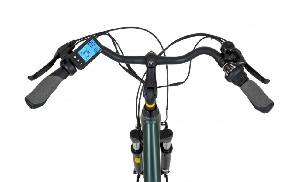 Rower EcoBike Traffic Dark Green 28